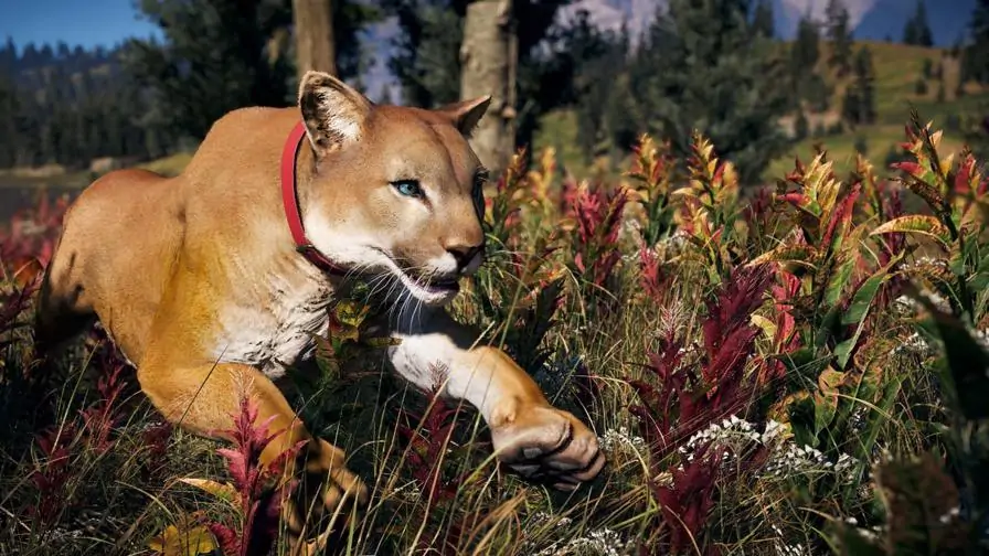 Far Cry 5: Novo modo foto vem produzindo ótimos resultados. Veja as belas imagens!