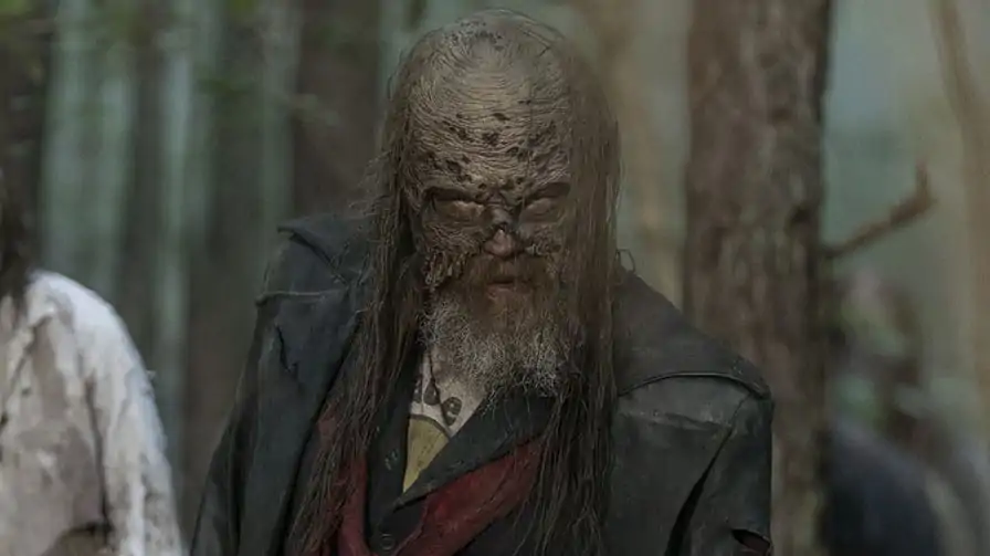 the walking dead