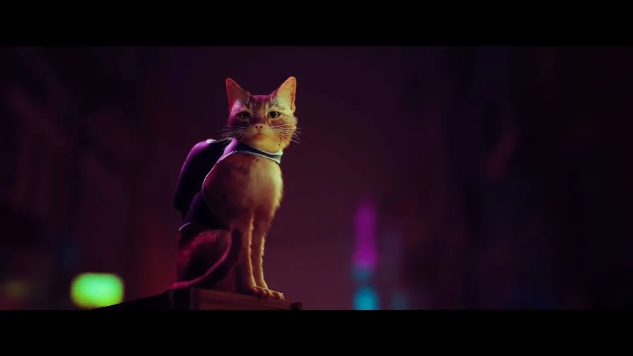 Stray, o “jogo do gatinho”, ainda será lançado em 2022